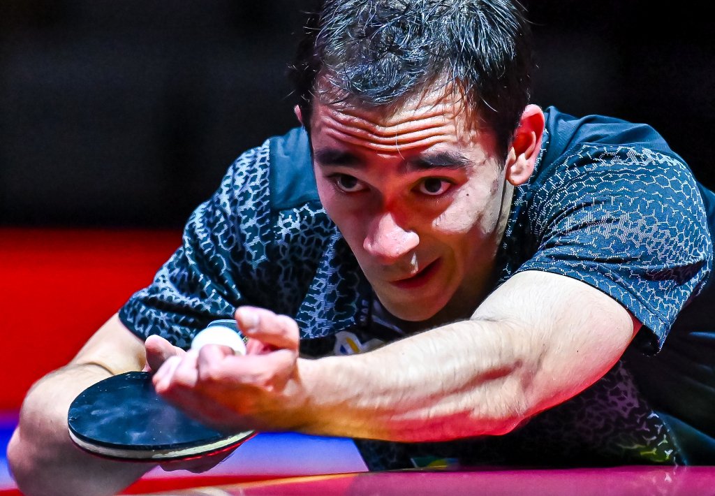 星在職業生 星在職業生