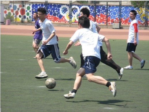 合作和高效 合作和高效