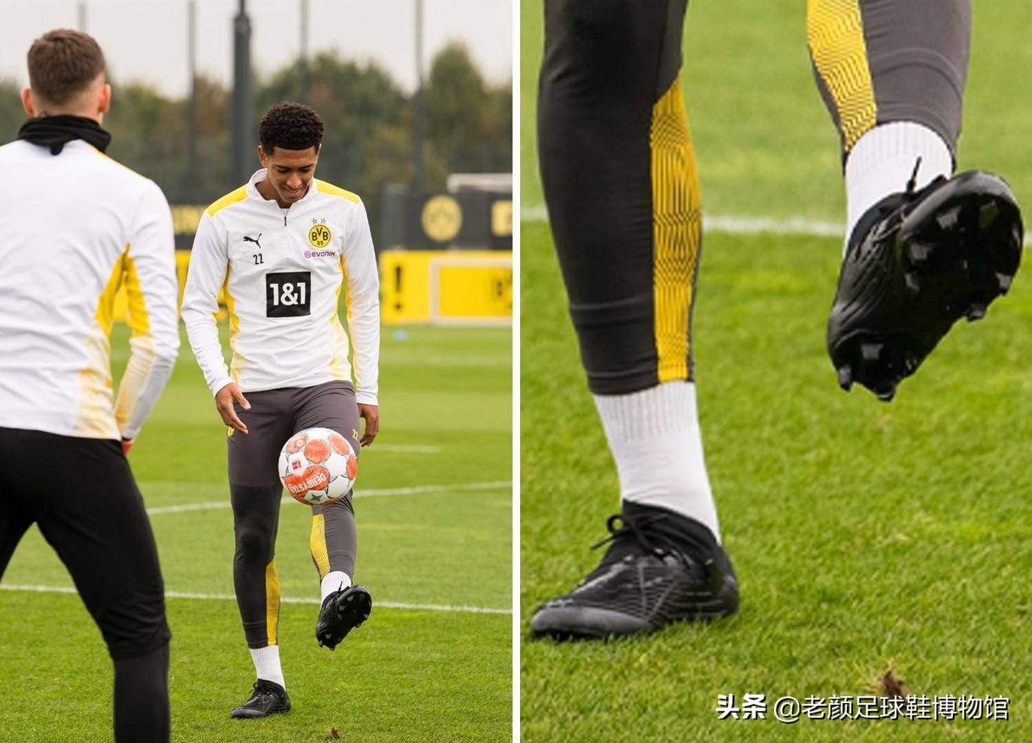 这一佳绩不 这一佳绩不